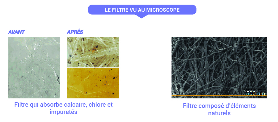 BIOTEGE : Pommeau de douche filtrant