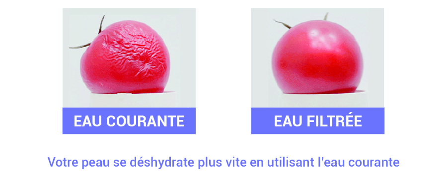 Pommeau de douche filtrant - Biotege